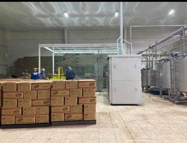 بسته بندی روغن صاف قنادی شورتینگ