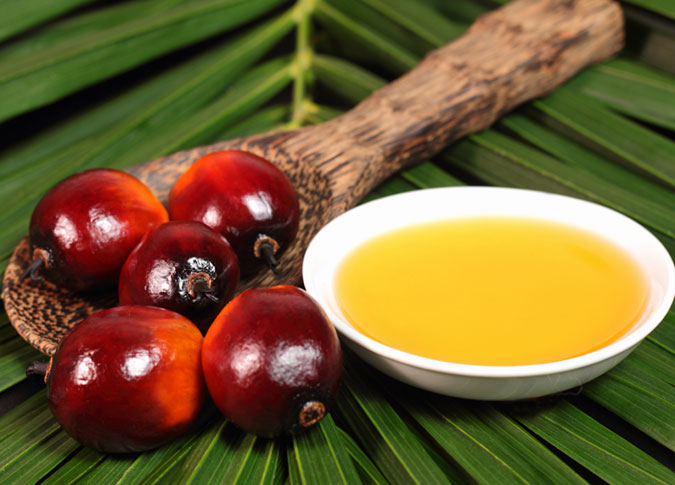 تولید کنندگان روغن پالم