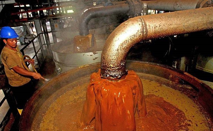 روغن پالم اولئین چیست و چه کاربردی دارد؟