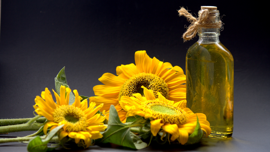 فروش روغن آفتابگردان خام و تصفیه شده