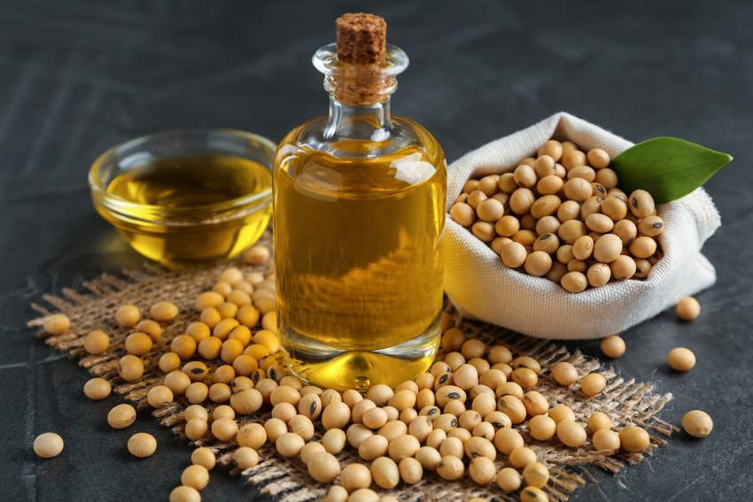فروش روغن سویا تصفیه شده با بهترین قیمت