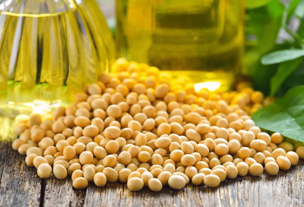 عوامل کلیدی در خرید روغن سویا خام