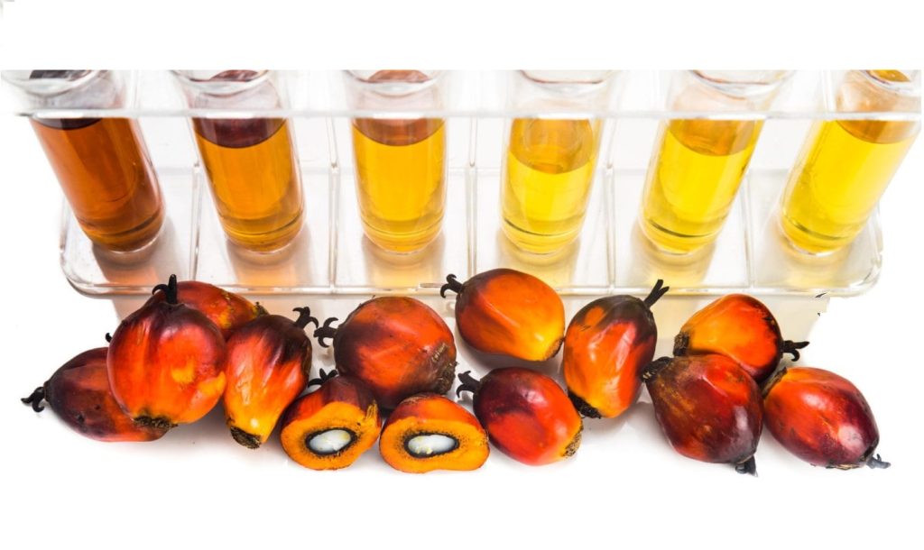 قیمت روغن پالم خام اولئین از مالزی